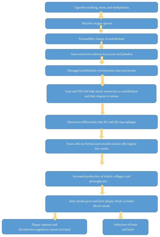 Safety and Efficacy of Extremely Low LDL-Cholesterol Levels and Its Prospects in Hyperlipidemia Management.