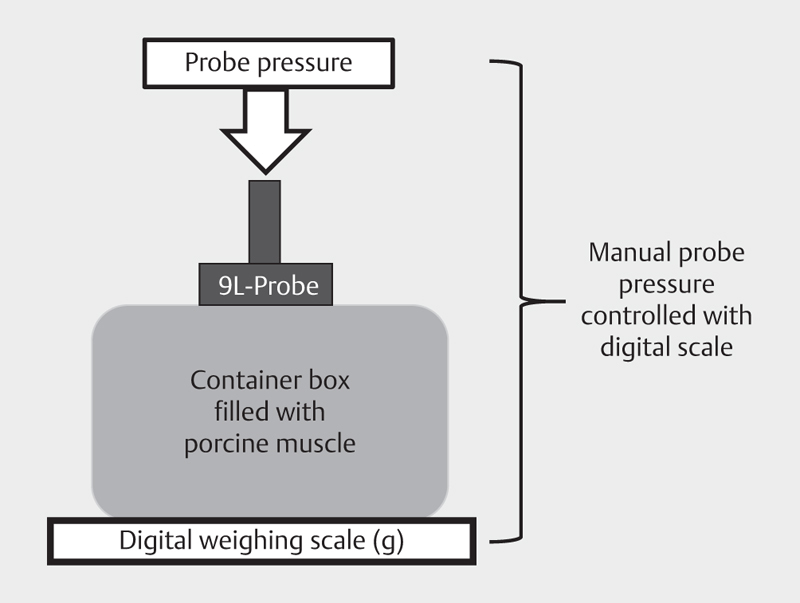 Influencing Factors of 2D Shear Wave Elastography of the Muscle - An Ex Vivo Animal Study.