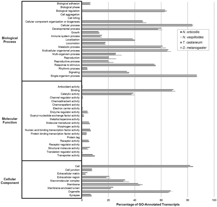 <i>De novo</i> Assembly of the Burying Beetle <i>Nicrophorus orbicollis</i> (Coleoptera: Silphidae) Transcriptome Across Developmental Stages with Identification of Key Immune Transcripts.