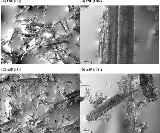 Efficacy of Alkali-treated Sugarcane Fiber for Improving Physicochemical and Textural Properties of Meat Emulsions with Different Fat Levels.