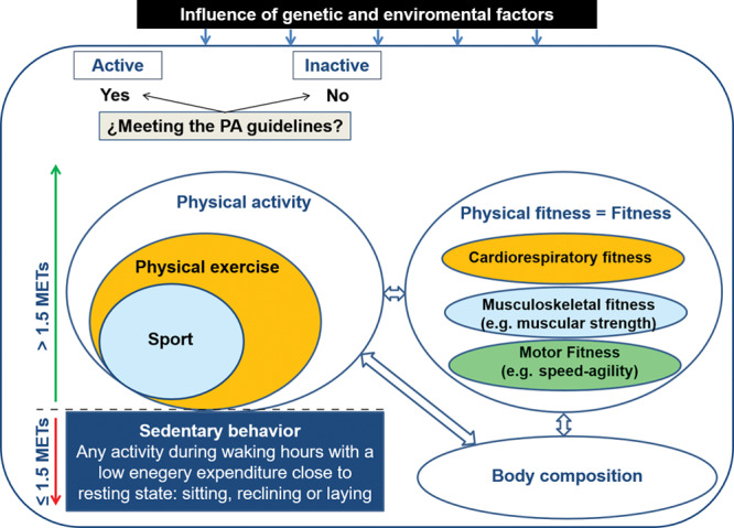 Fitness and Fatness as Health Markers through the Lifespan: An Overview of Current Knowledge.