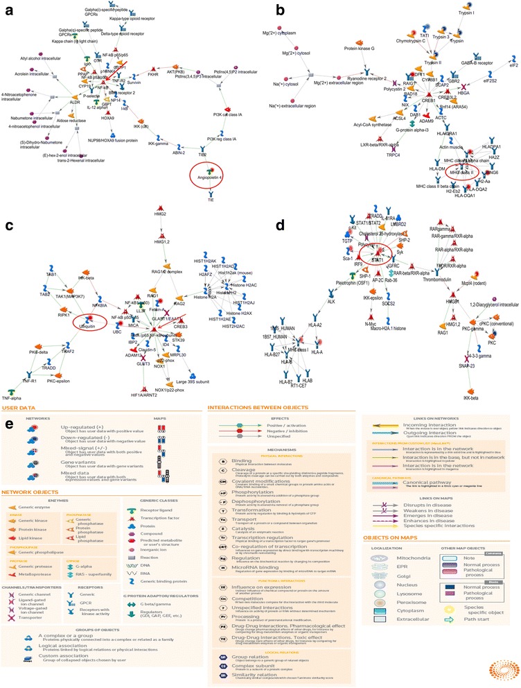 ITRAQ-based quantitative proteomic analysis of processed <i>Euphorbia lathyris</i> L. for reducing the intestinal toxicity.