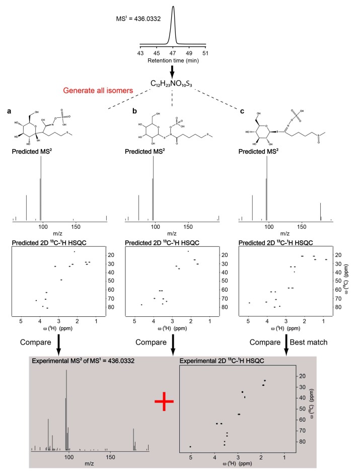 Recent Advances in Targeted and Untargeted Metabolomics by NMR and MS/NMR Methods.