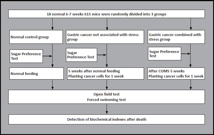 The Level of Nesfatin-1 in a Mouse Gastric Cancer Model and Its Role in Gastric Cancer Comorbid with Depression.