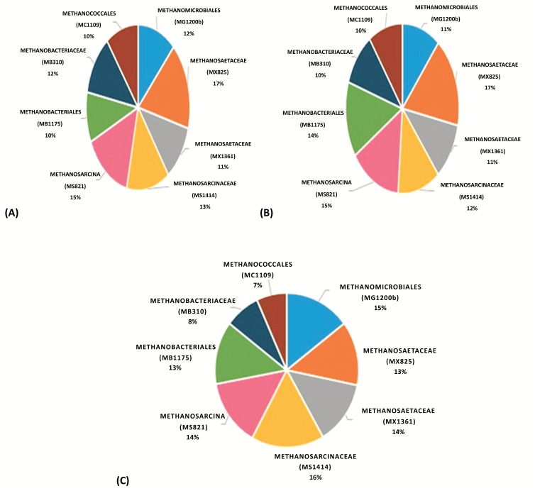 Assessing Methanogenic Archaeal Community in Full Scale Anaerobic Sludge Digester Systems in Dubai, United Arab Emirates.