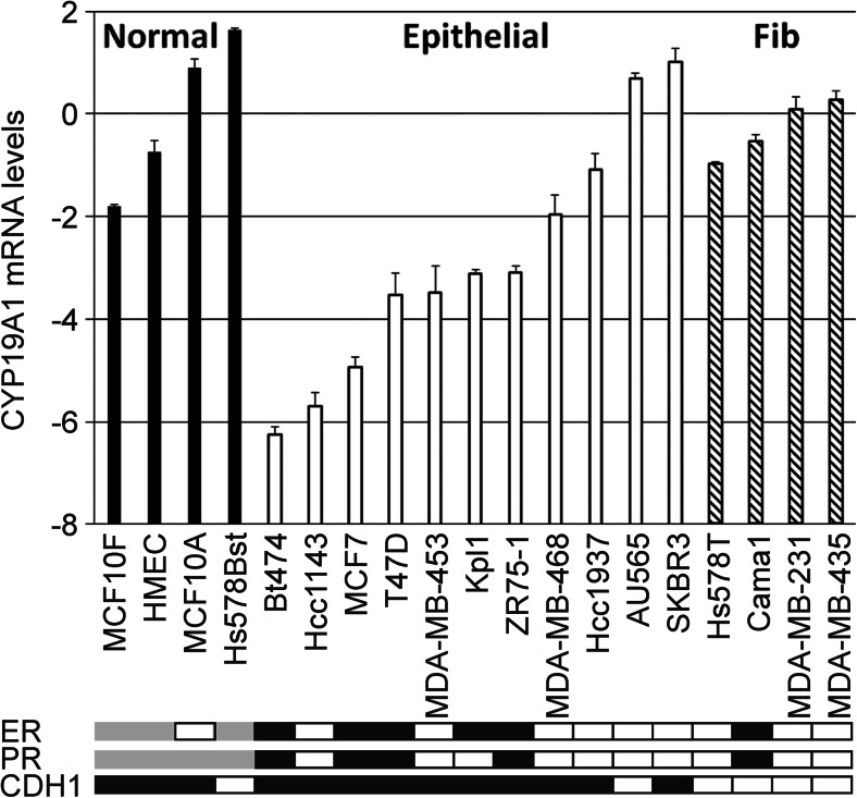 Elevated Aromatase (CYP19A1) Expression Is Associated with a Poor Survival of Patients with Estrogen Receptor Positive Breast Cancer.