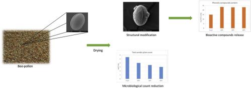 Influence of drying-related operations on microbiological, structural and physicochemical aspects for processing of bee-pollen