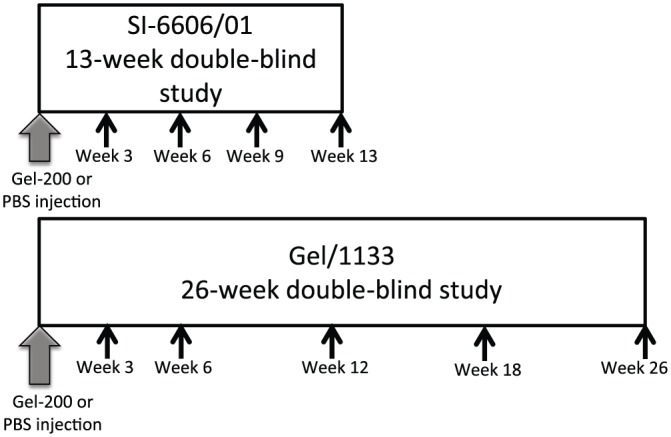 A Pooled Analysis of Two Multicenter, Randomized Controlled Trials of a Single Intra-articular Injection of Gel-200 for Treatment of Osteoarthritis of the Knee.