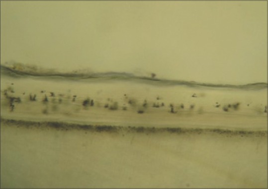 Abstract Image