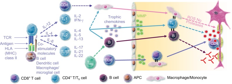 Cladribine tablets' potential role as a key example of selective immune reconstitution therapy in multiple sclerosis.