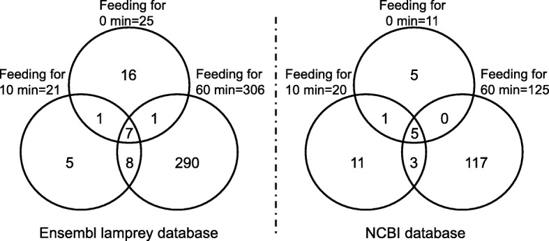 Proteomic analysis of buccal gland secretion from fasting and feeding lampreys (<i>Lampetra morii</i>).