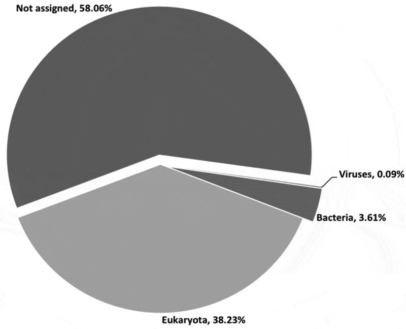 Viral metagenomics reveals the presence of highly divergent quaranjavirus in <i>Rhipicephalus</i> ticks from Mozambique.