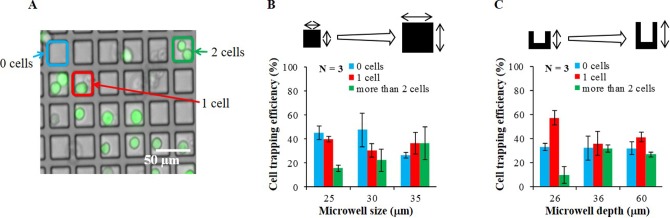 Cell Deposition Microchip with Micropipette Control over Liquid Interface Motion.