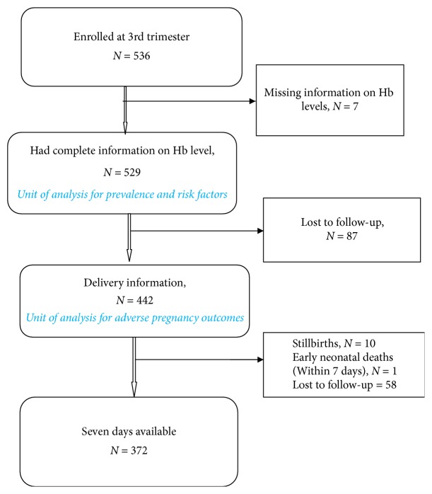 Anaemia in Pregnancy: Prevalence, Risk Factors, and Adverse Perinatal Outcomes in Northern Tanzania.