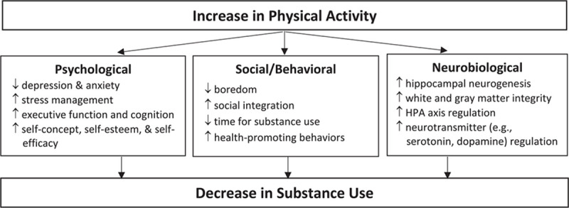 Physical Activity and the Development of Substance Use Disorders: Current Knowledge and Future Directions.