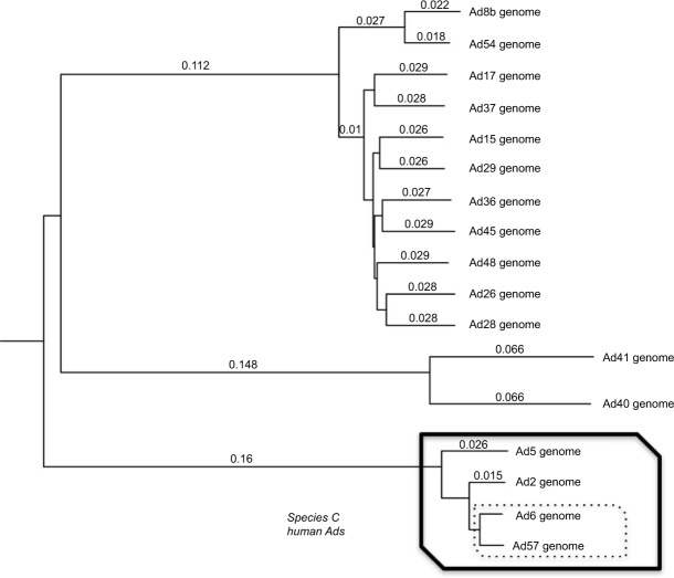 Oncolytic adenovirus Ad657 for systemic virotherapy against prostate cancer.