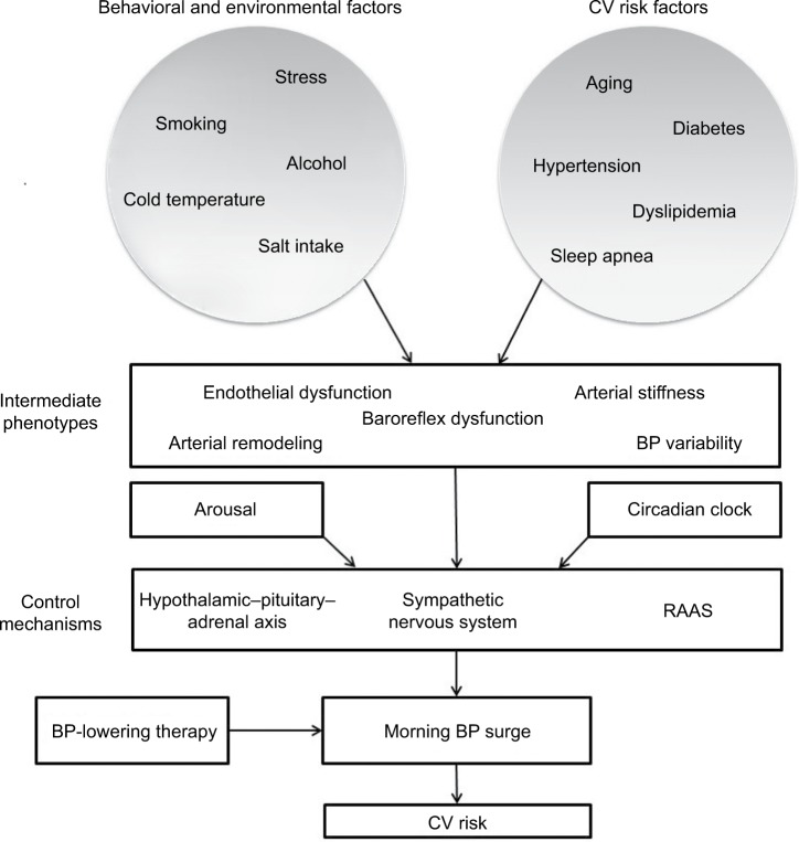 Morning blood pressure surge: pathophysiology, clinical relevance and therapeutic aspects.