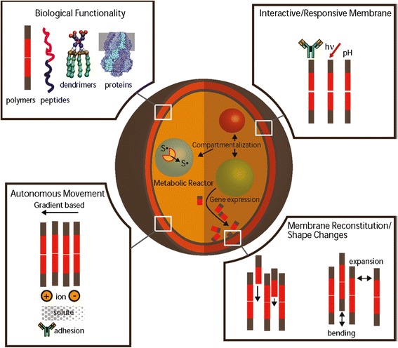 Scientific iconoclasm and active imagination: synthetic cells as techno-scientific mandalas.