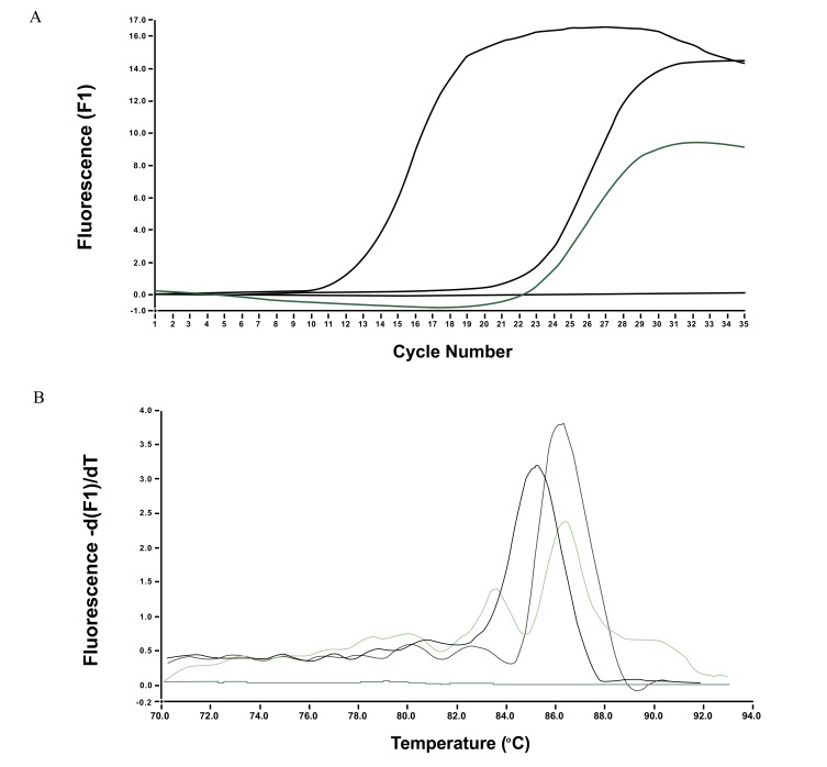 Utility of Molecular Identification and Quantitation of <i>Bartonella</i> Species with Species-Specific Real-Time PCR for Monitoring Treatment Response: A Case Series.