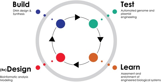 Scientific iconoclasm and active imagination: synthetic cells as techno-scientific mandalas.