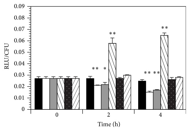 Differential Regulation of <i>Escherichia coli fim</i> Genes following Binding to Mannose Receptors.