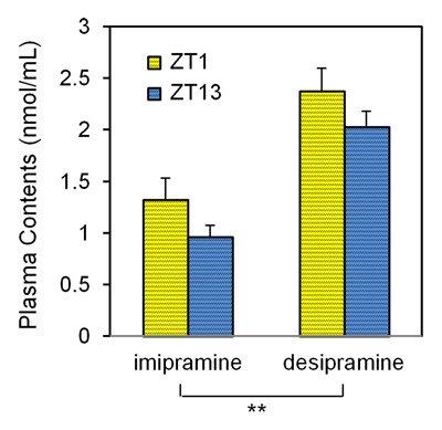 Time of Administration of Acute or Chronic Doses of Imipramine Affects its Antidepressant Action in Rats.