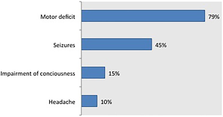 Pediatric Arterial Ischemic Stroke: Clinical Presentation, Risk Factors, and Pediatric NIH Stroke Scale in a Series of Chilean Patients.