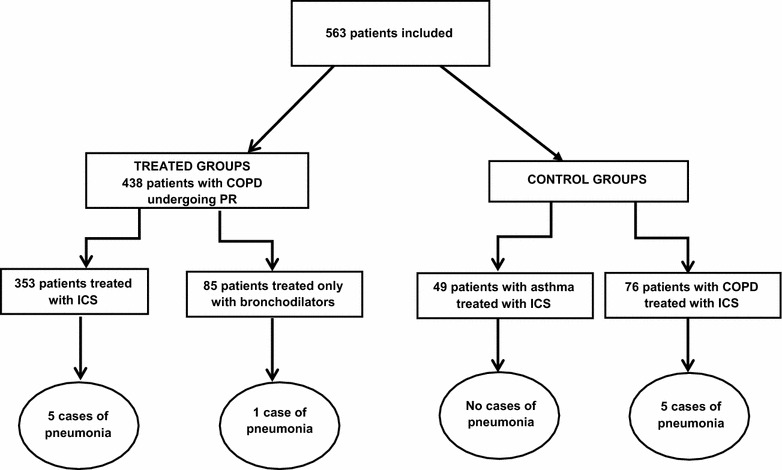 Low incidence of pneumonia in COPD patients treated with inhaled corticosteroids undergoing pulmonary rehabilitation.
