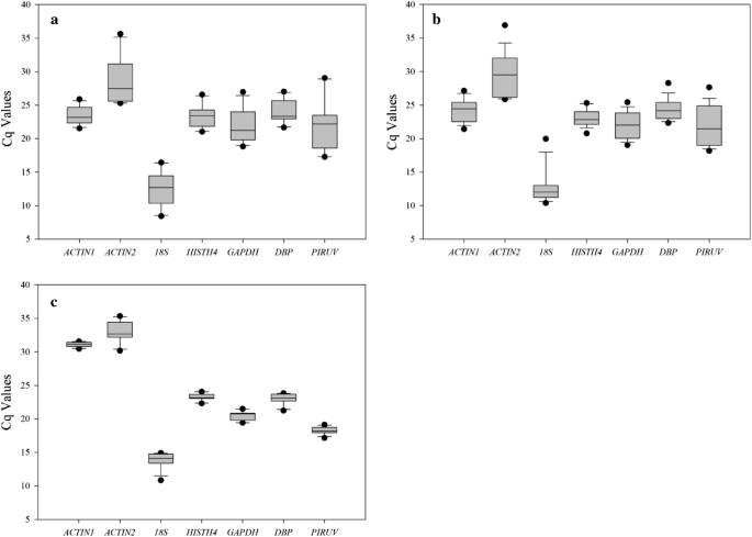 Evaluation of suitable reference genes for qRT-PCR normalization in strawberry (Fragaria × ananassa) under different experimental conditions