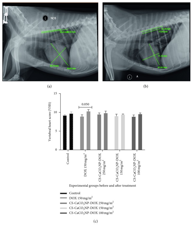 Toxicity and Safety Evaluation of Doxorubicin-Loaded Cockleshell-Derived Calcium Carbonate Nanoparticle in Dogs.