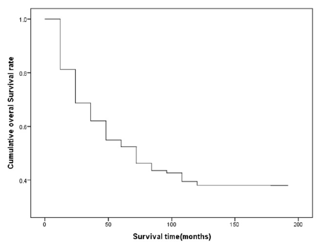 Effects of Different Treatment Strategies and Tumor Stage on Survival of Patients with Advanced Laryngeal Carcinoma: A 15-Year Cohort Study.