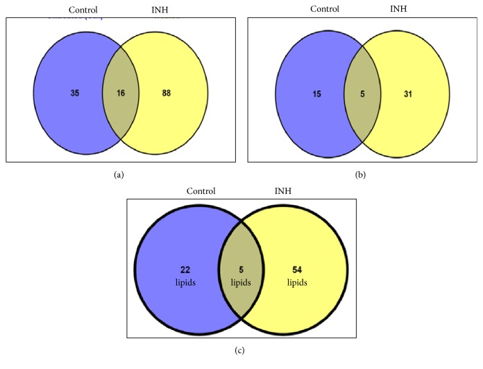 Investigations into Isoniazid Treated <i>Mycobacterium tuberculosis</i> by Electrospray Mass Spectrometry Reveals New Insights into Its Lipid Composition.