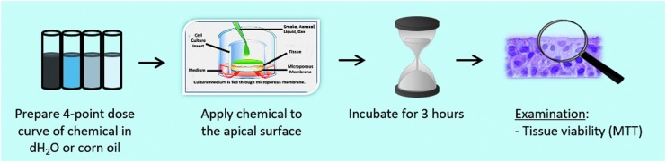 Prevalidation of an Acute Inhalation Toxicity Test Using the EpiAirway <i>In Vitro</i> Human Airway Model.