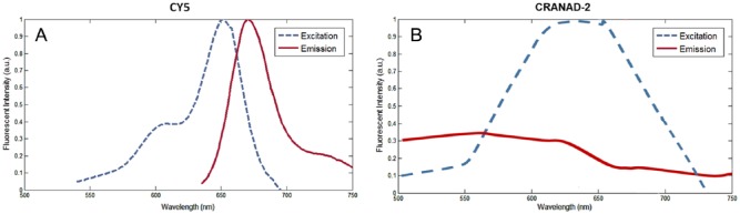 Development and Optimization of a Fluorescent Imaging System to Detect Amyloid-β Proteins: Phantom Study.