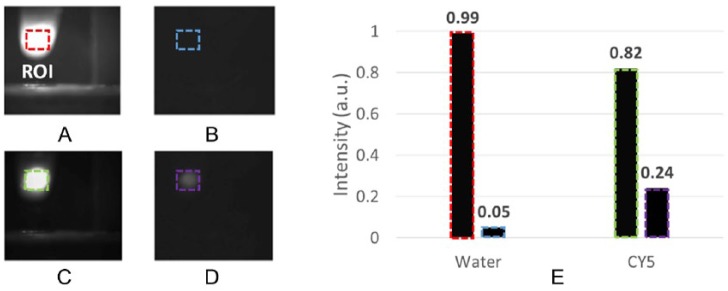 Development and Optimization of a Fluorescent Imaging System to Detect Amyloid-β Proteins: Phantom Study.