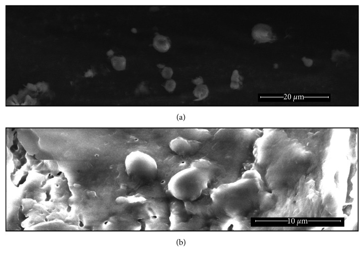 Toward Improving Medication Adherence: The Suppression of Bitter Taste in Edible Taste Films.