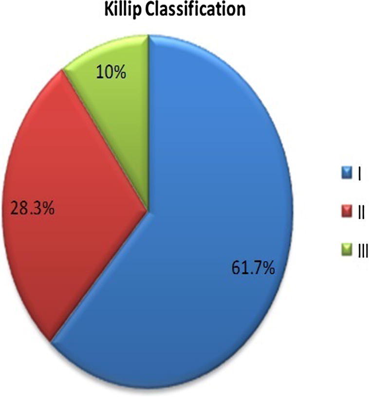 Myocardial performance index as an echocardiographic predictor of early in-hospital heart failure during first acute anterior ST-elevation myocardial infarction