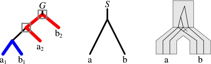 Abstract Image