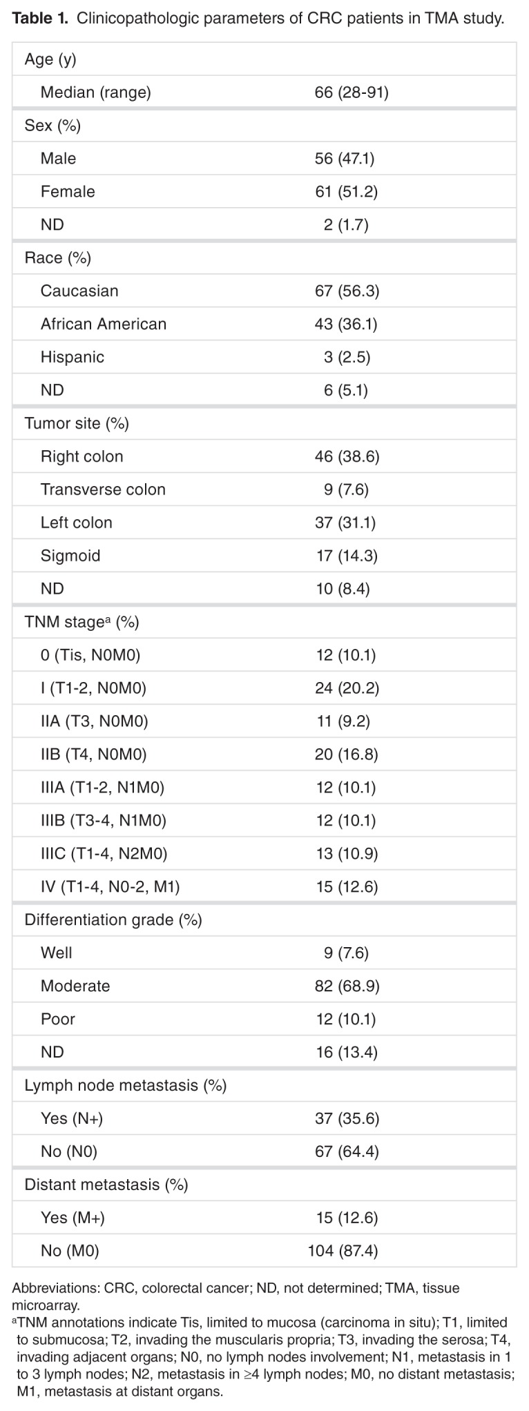 Vasodilator-Stimulated Phosphoprotein Biomarkers Are Associated with Invasion and Metastasis in Colorectal Cancer.