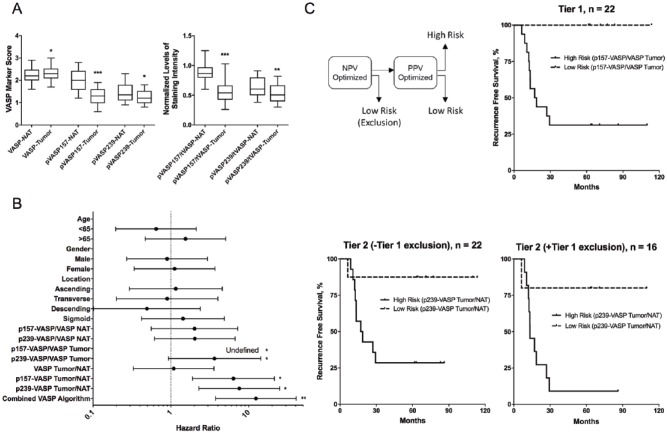 Vasodilator-Stimulated Phosphoprotein Biomarkers Are Associated with Invasion and Metastasis in Colorectal Cancer.