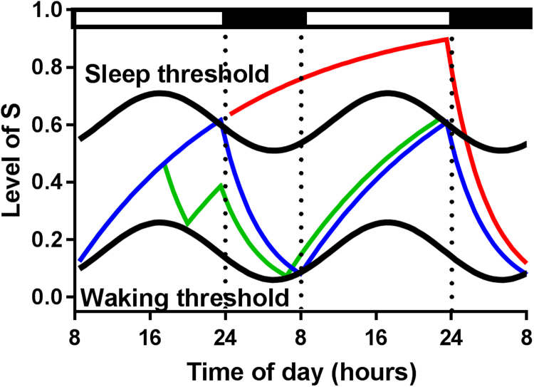 Sleep homeostasis and the circadian clock: Do the circadian pacemaker and the sleep homeostat influence each other’s functioning?