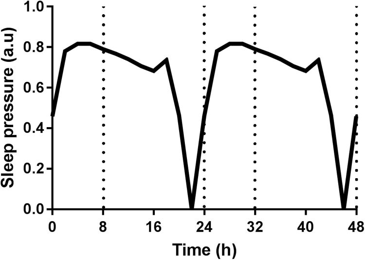 Sleep homeostasis and the circadian clock: Do the circadian pacemaker and the sleep homeostat influence each other’s functioning?