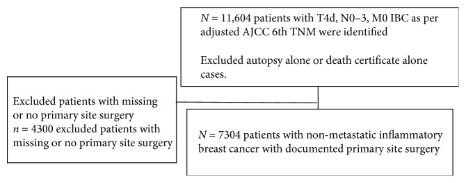 The Impact of Locoregional Therapy in Nonmetastatic Inflammatory Breast Cancer: A Population-Based Study.