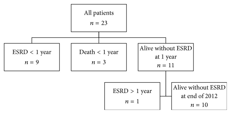 Prognostic Factors in Anti-Neutrophil Cytoplasmic Antibody-Associated Glomerulonephritis with Severe Glomerular Sclerosis: A National Registry-Based Cohort Study.