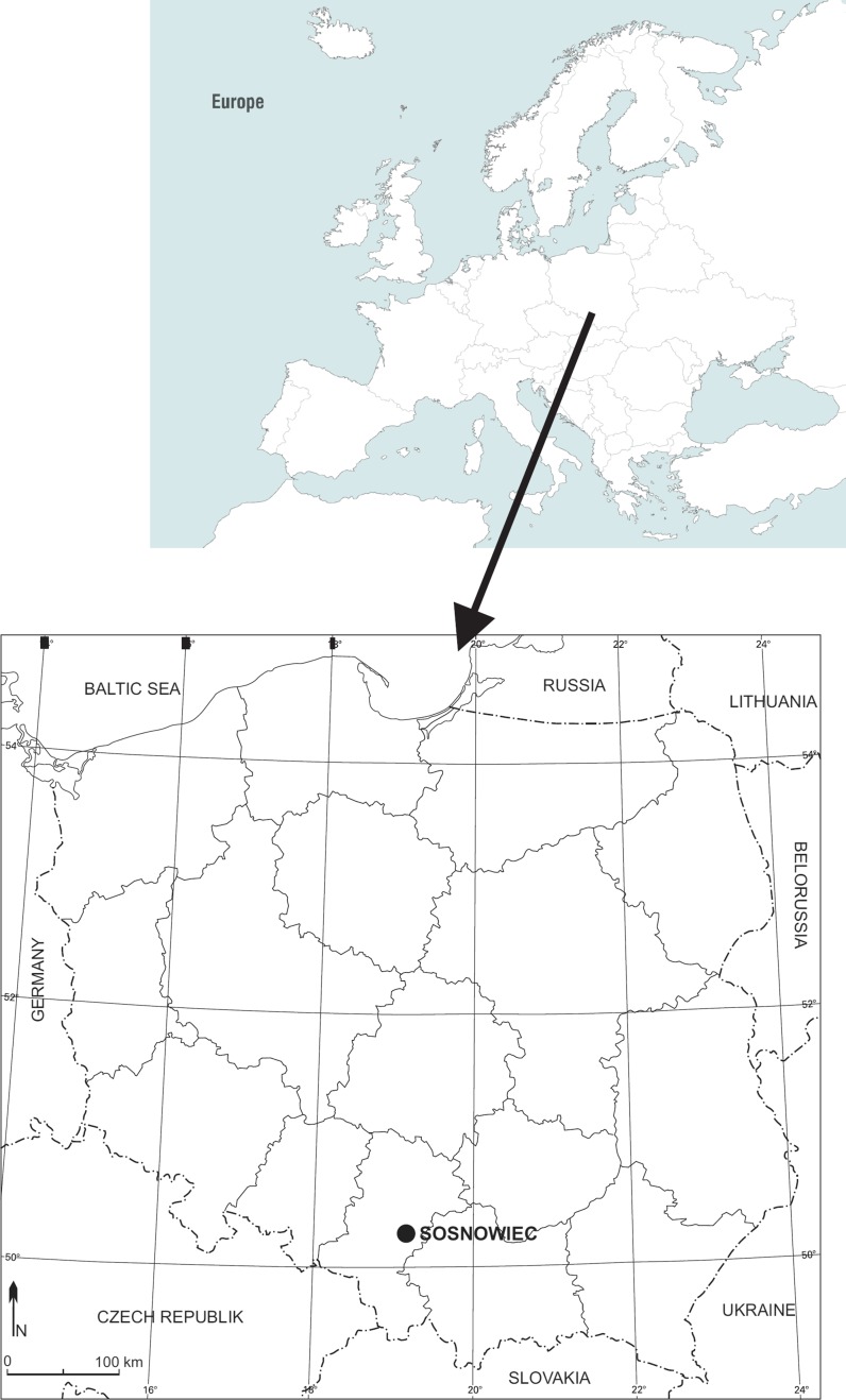 The impact of meteorological conditions on the concentration of alder pollen in Sosnowiec (Poland) in the years 1997–2017