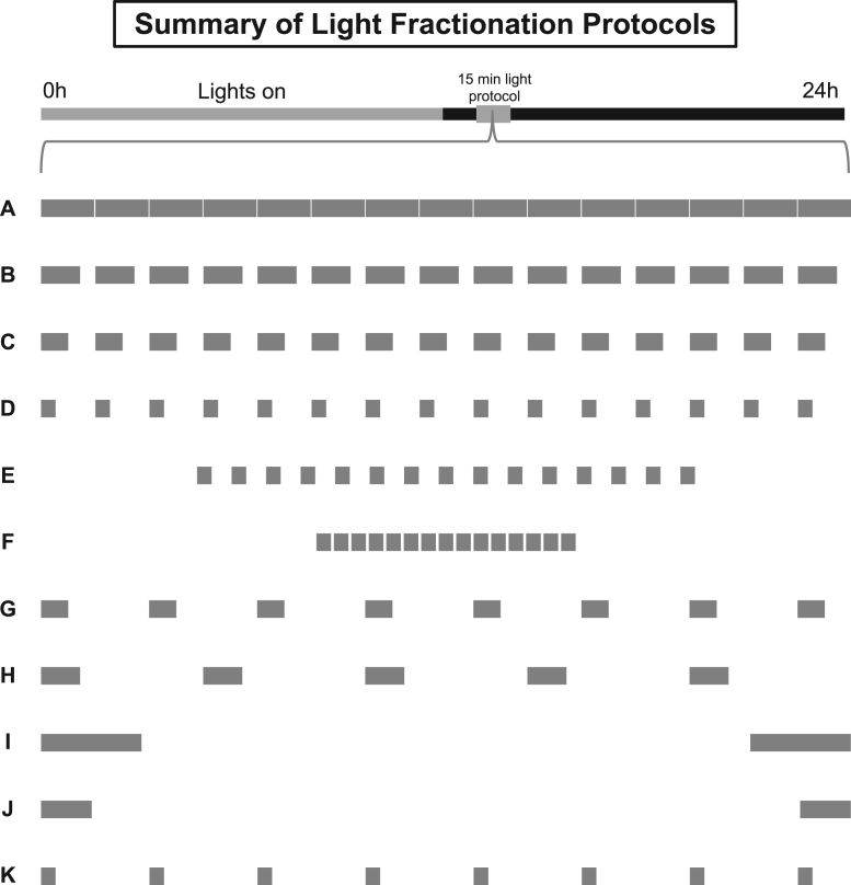 Circadian phase-shifting by light: Beyond photons