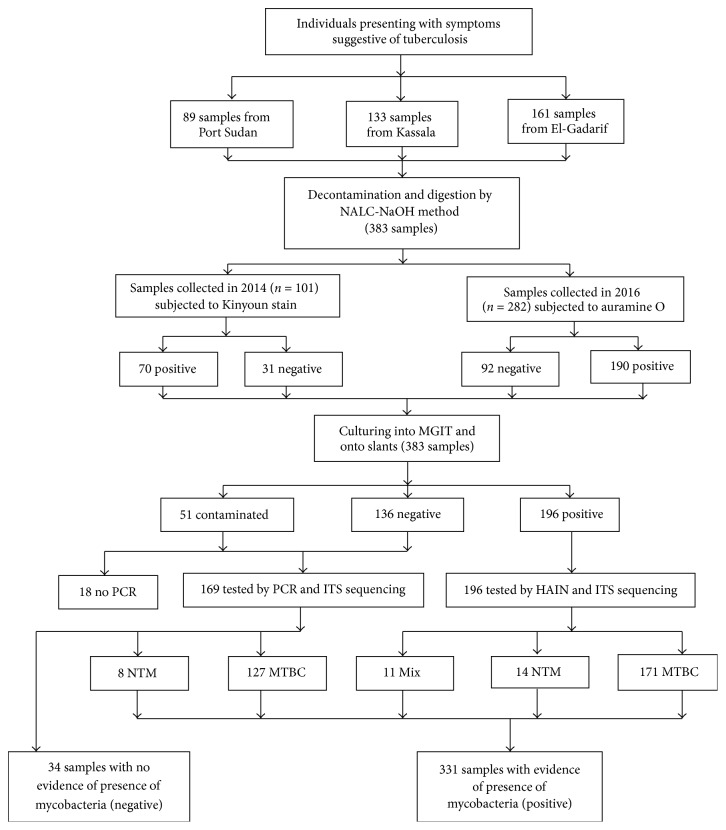 Smear Microscopy for Diagnosis of Pulmonary Tuberculosis in Eastern Sudan.