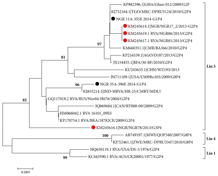 Species A Rotavirus (RVA) Isolated from Sewage in Nigeria, 2014: Close Genetic Relatedness of Partial G, P, and NSP4 Gene Sequences Encoding G1 with Cogent Genes of Other Asian and African Rotaviruses.