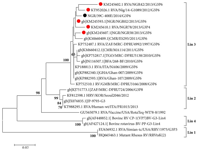 Species A Rotavirus (RVA) Isolated from Sewage in Nigeria, 2014: Close Genetic Relatedness of Partial G, P, and NSP4 Gene Sequences Encoding G1 with Cogent Genes of Other Asian and African Rotaviruses.