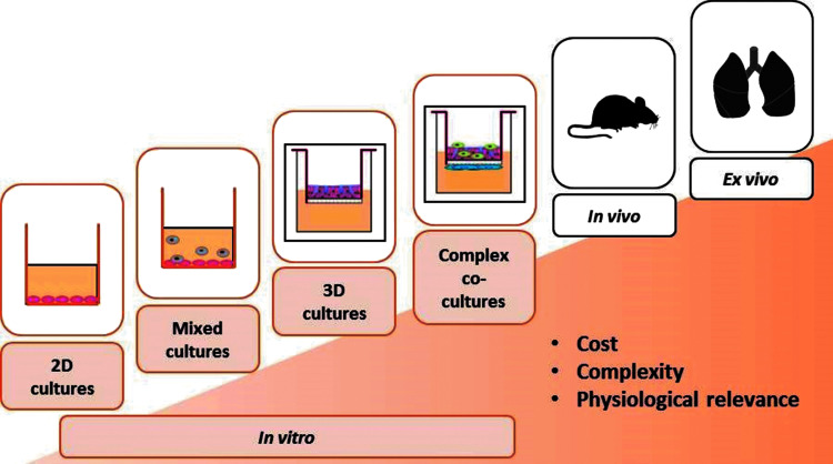 Air-Liquid Interface <i>In Vitro</i> Models for Respiratory Toxicology Research: Consensus Workshop and Recommendations.